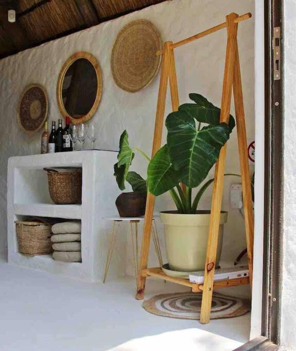 Hot Spring Bungalow In Limpopo Gemsbokfontein Екстер'єр фото